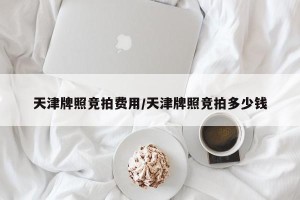 天津牌照竞拍费用/天津牌照竞拍多少钱