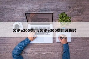 奔驰e300费用/奔驰e300费用及图片