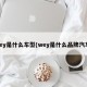 wey是什么车型(wey是什么品牌汽车)