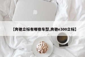 【奔驰立标有哪些车型,奔驰e300立标】