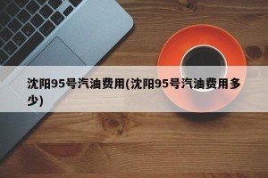 沈阳95号汽油费用(沈阳95号汽油费用多少)